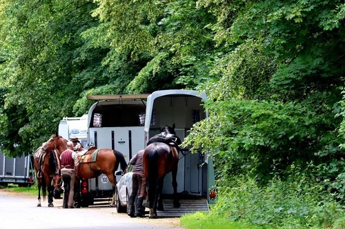Dragbilar och hästtransporter